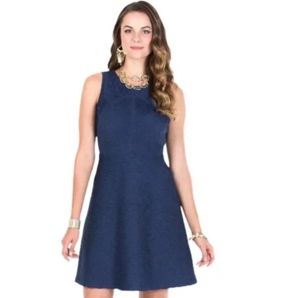 Daisy Fuentes Fit and Flare Dress Large Navy Blue Sleeveless Casual Career Dress